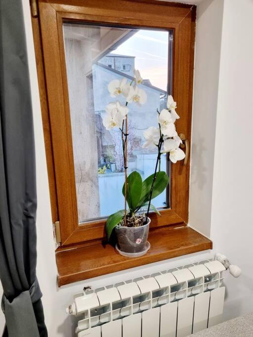 בוקרשט Cozy Apartment Near City Center מראה חיצוני תמונה